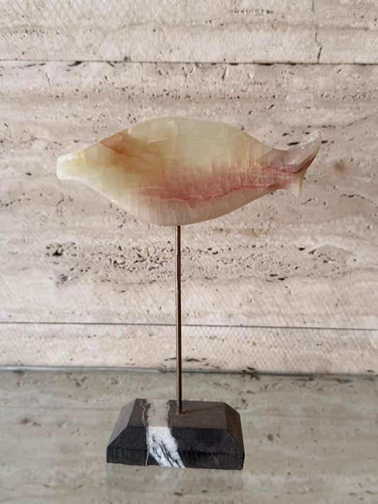 Onyx fish