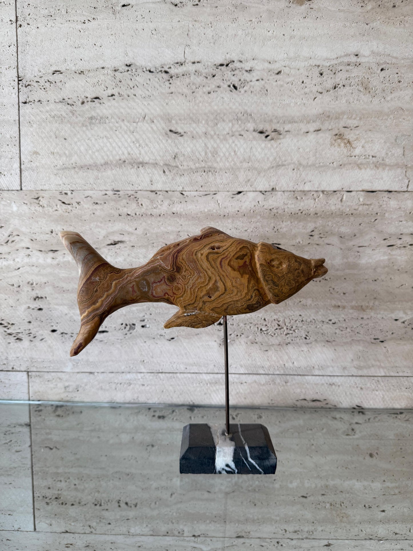 Curious fish